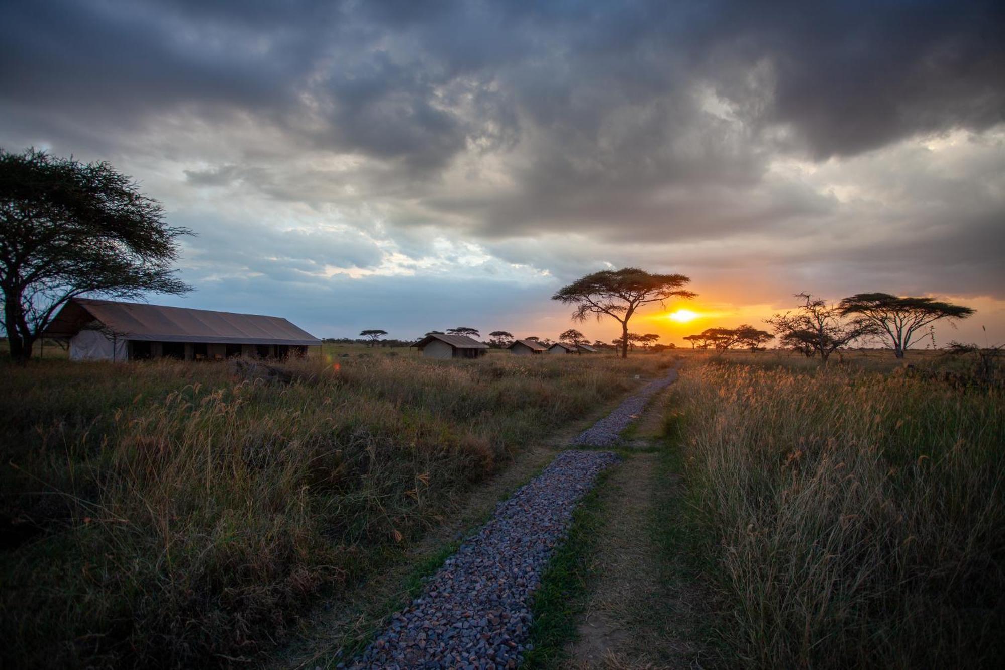 Mawe Tented Camp เซเรงเกติ ภายนอก รูปภาพ